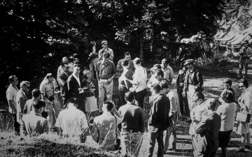 Δασική ιστορία